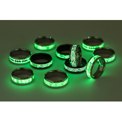 Luminous dragon - stainless steel ringRings