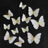 3D butterfly - wall sticker with magnet 12 piecesWall stickers