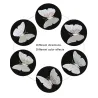 3D butterfly - wall sticker with magnet 12 piecesWall stickers