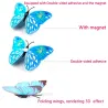 3D butterfly - wall sticker with magnet 12 piecesWall stickers