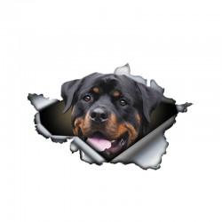 3D Rottweiler - vinyl car sticker - 13 * 8.4cmStickers