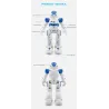 JJRC R2 RC robot Cady - IR gesture control - dancing intelligent RC toyRC Toys