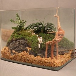 Naturalny pień drzewa driftwood - akwariowa roślina - drewniana dekoracjaAkwarium